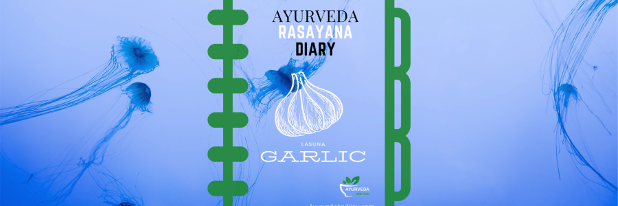 Ayurveda Rasayana Diary Garlic