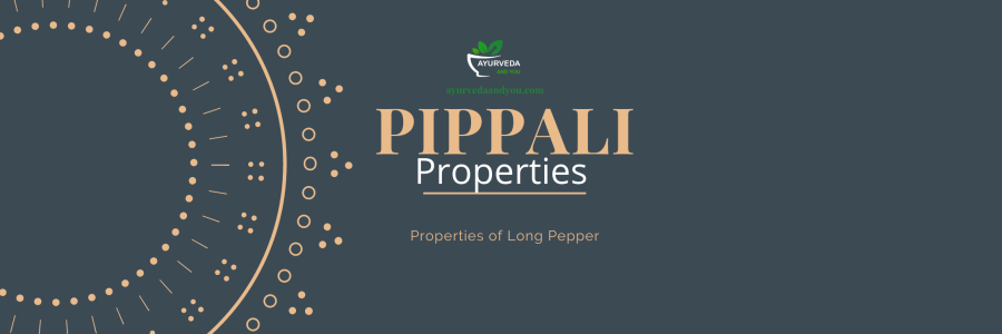 property of Pippali